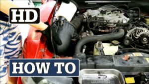 Read more about the article How to Change the Air Filter on a Ford Mustang